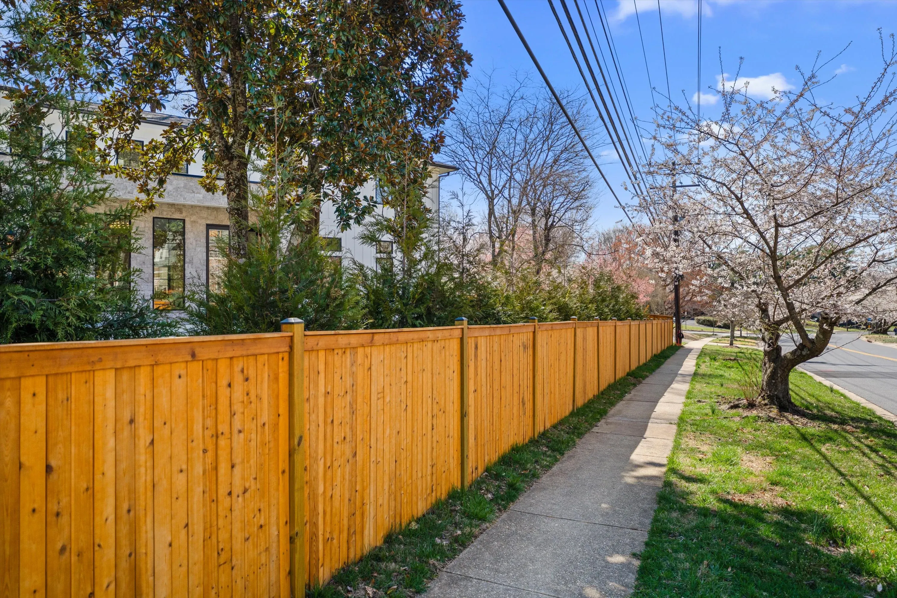 Street-side view of new construction property with cedar privacy fence and cherry blossoms in full bloom