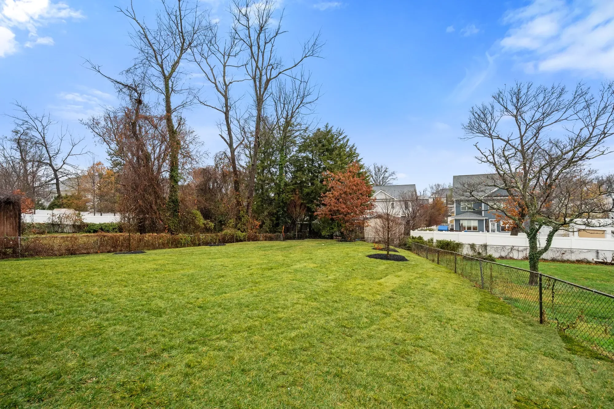 Landscaped backyard — Falls Church home photography