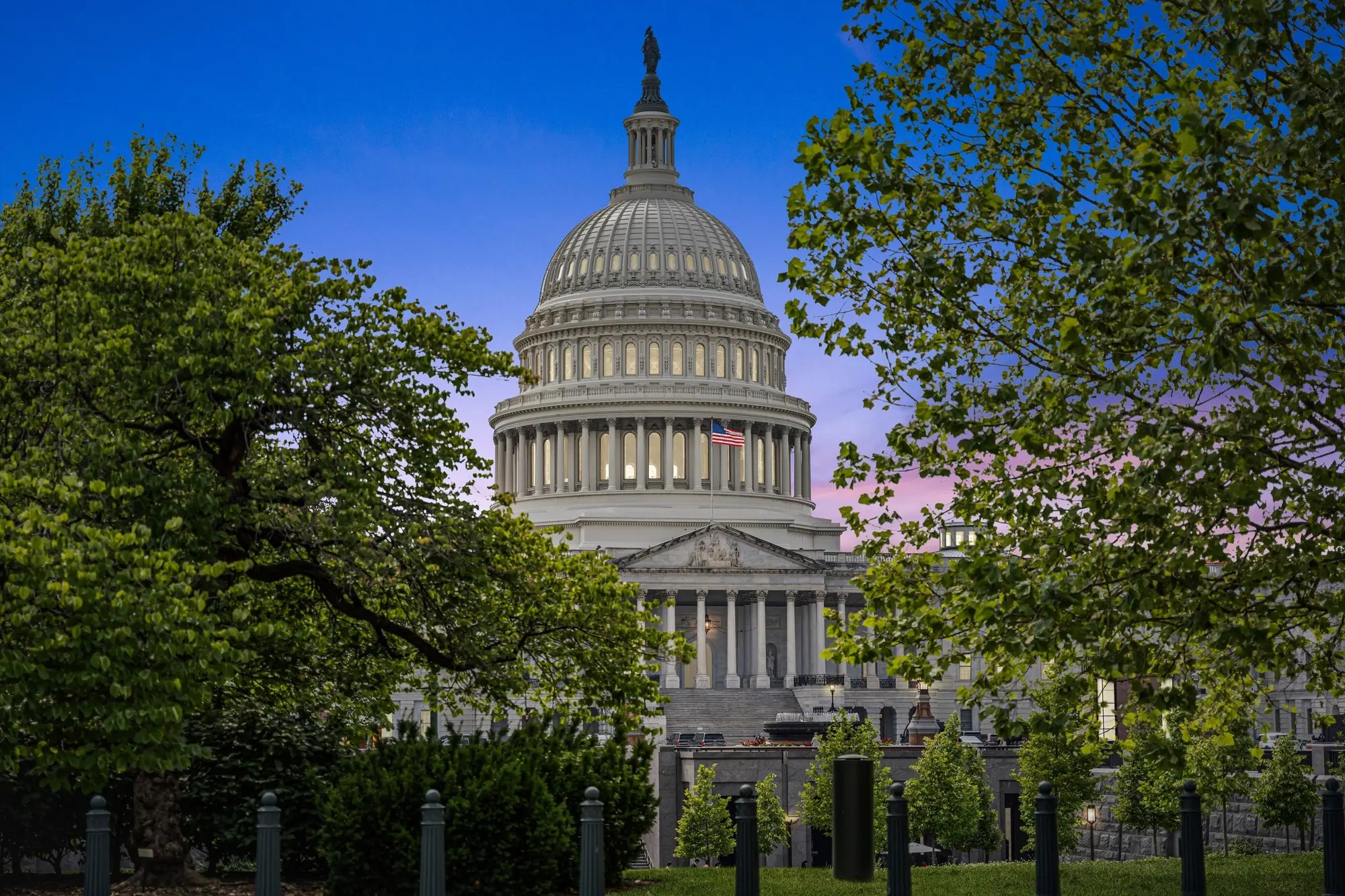 Twilight real estate photography in Washington DC – U.S. Capitol framed by trees