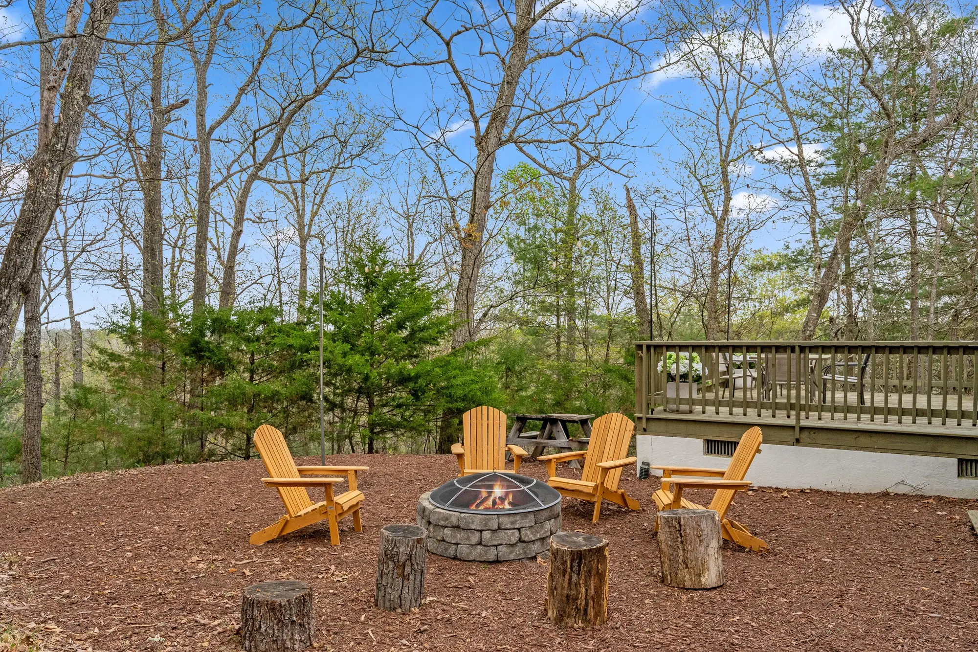 Front view of Basye VA vacation rental, surrounded by forest